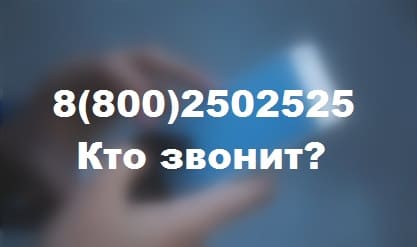 88002502525 — чей это телефон и кто звонит?